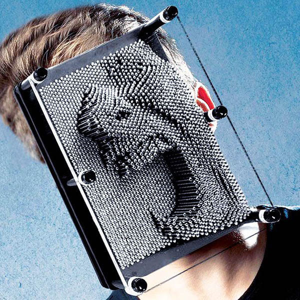 Pin Art XXL Bild