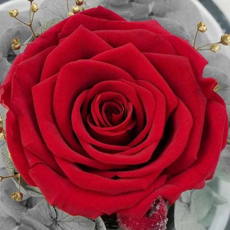 Kryogene Rose mit Schutzengel