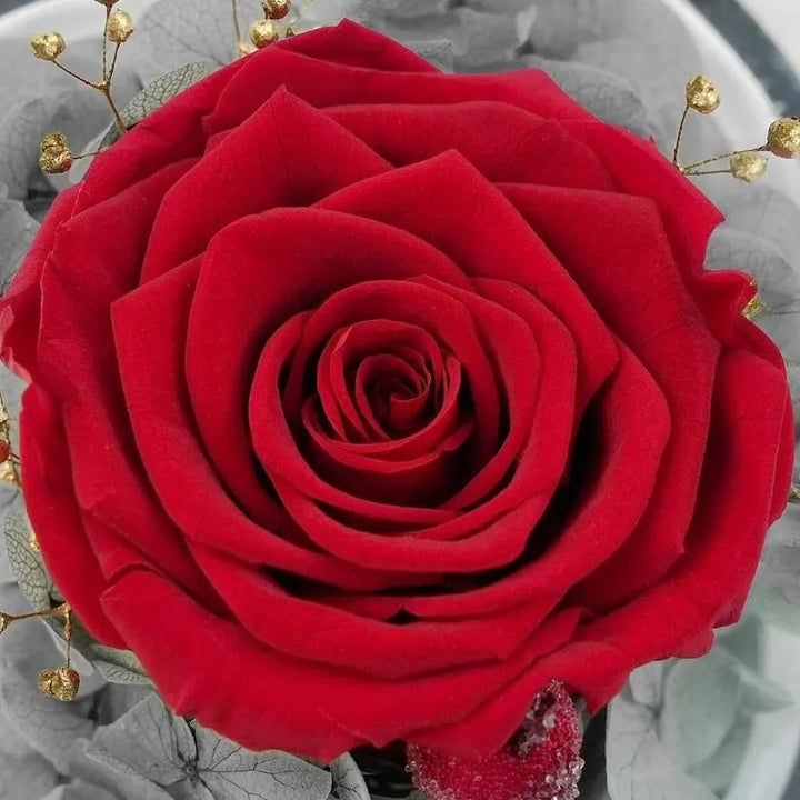 Kryogene Rose mit Schutzengel