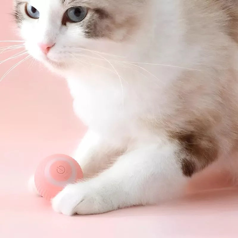 Intelligentes, bewegliches, interaktives Katzenspielzeug