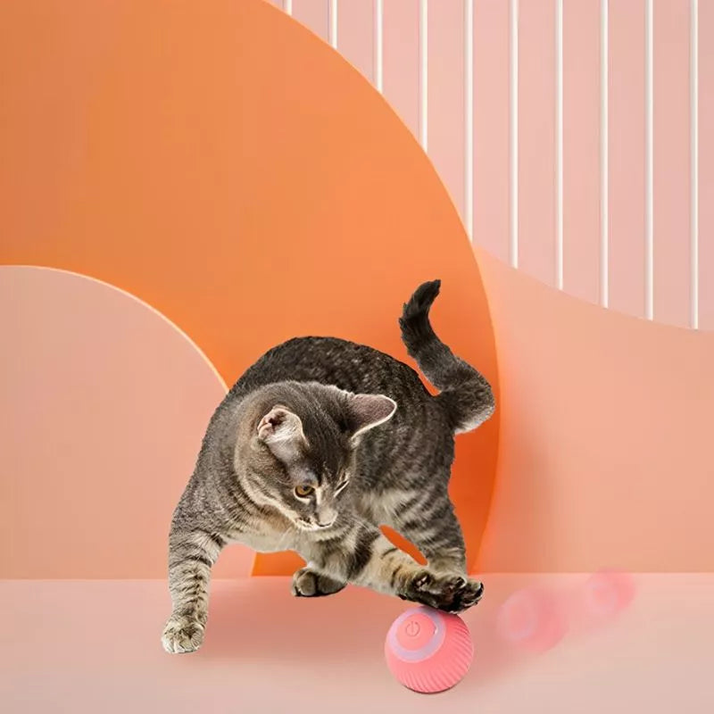 Intelligentes, bewegliches, interaktives Katzenspielzeug