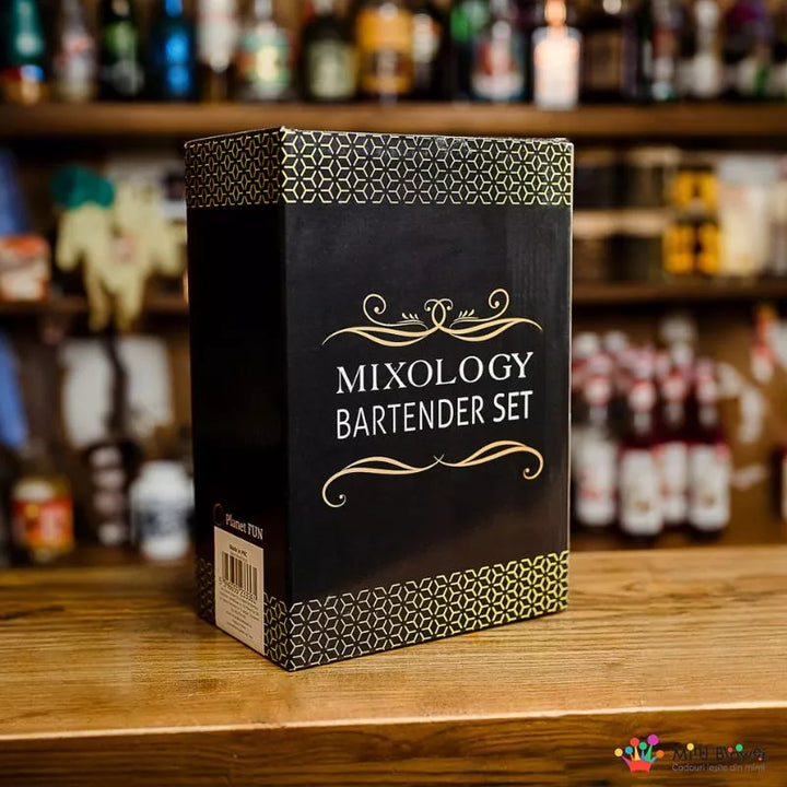 Mixology Cocktail-Shaker-Geschenkset mit 11 Zubehörteilen, 750 ml, Schwarz