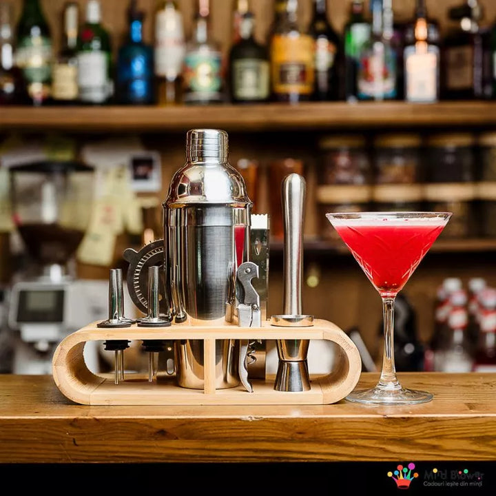 zestaw-prezentowy-cocktail-shaker-mixology-z-11-akcesoriami-750-ml-srebrny  